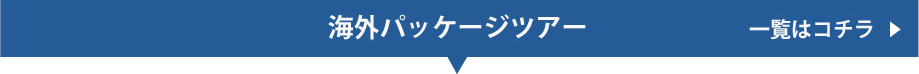 海外パッケージツアー